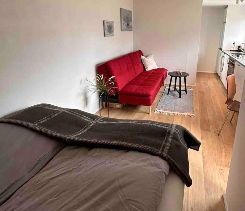 Studio Apartment Reykjavik City Center Reiquiavique Exterior foto