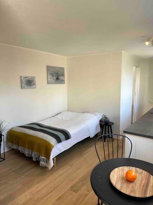 Studio Apartment Reykjavik City Center Reiquiavique Exterior foto